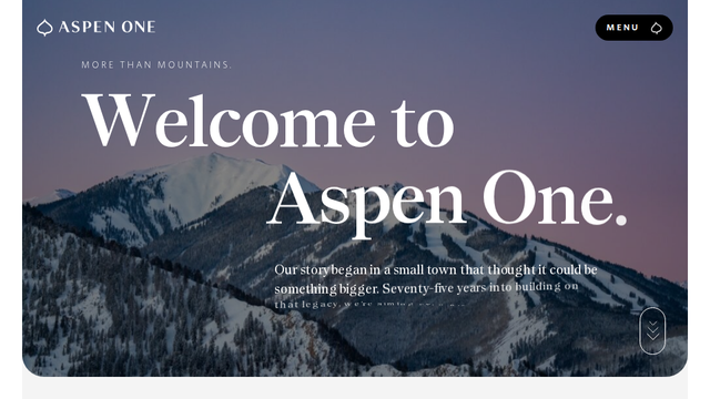 Aspen One