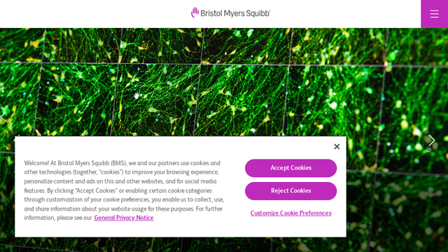 Global Biopharmaceutical Company - Bristol Myers Squibb