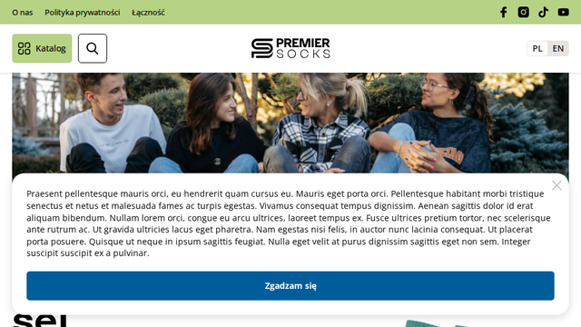 Socks Innovation Project - 'Sock Couture'