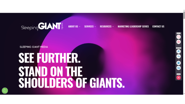 Giant Insights: Empowering Businesses Through Holistic Digital Marketing